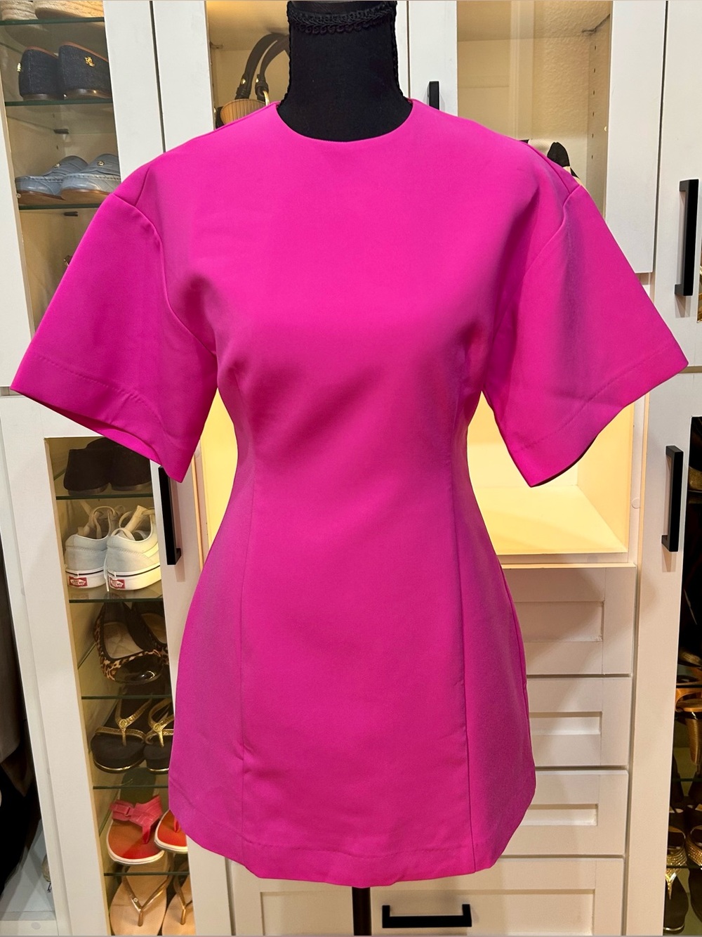 NWT SaturdayClub Hourglass Short Sleeve Dress in Rose Pink, Size - XS